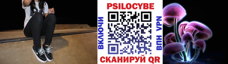 Псилоцибиновые грибы Cubensis  Купить  Пестово 